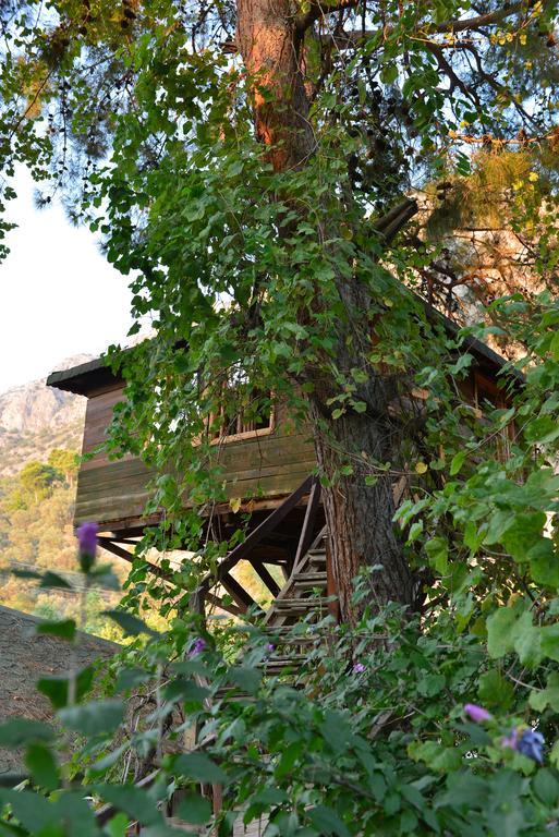 Hotel Gorge Club Saklikent Habitación foto